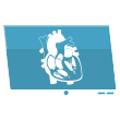 Cardiology